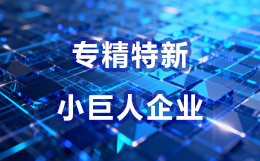 友创智能是国家级专精特新小巨人企业